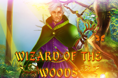 Wizard of the Woods 